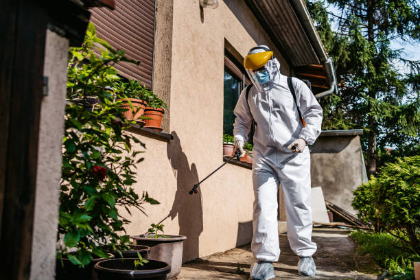 Best Pest Removal Services  in De Smet, SD