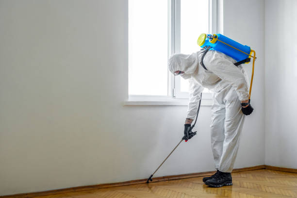 Best Best Pest Control Companies  in De Smet, SD
