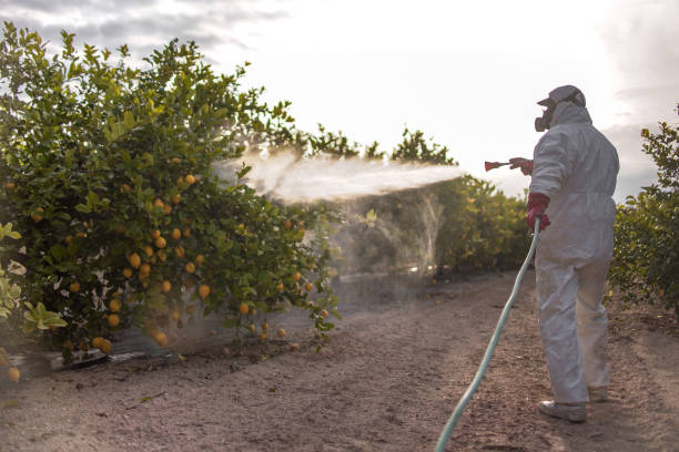 Reliable De Smet, SD Pest Control Solutions