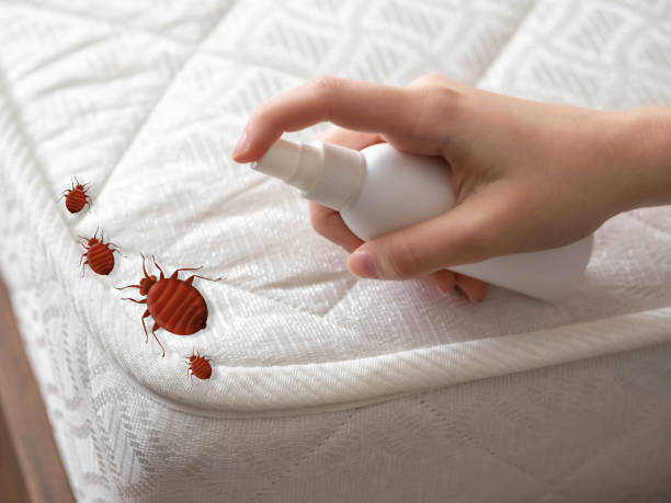 Best Local Pest Control Services  in De Smet, SD